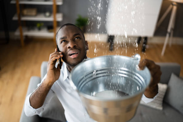 Best Basement water damage restoration  in Altamont, IL