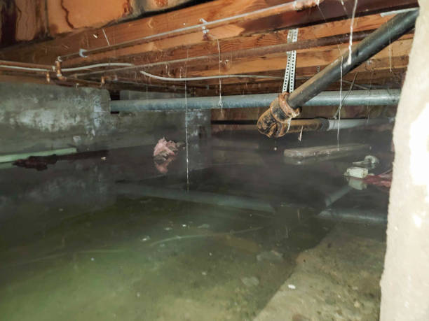 Best Flooded house restoration  in Altamont, IL