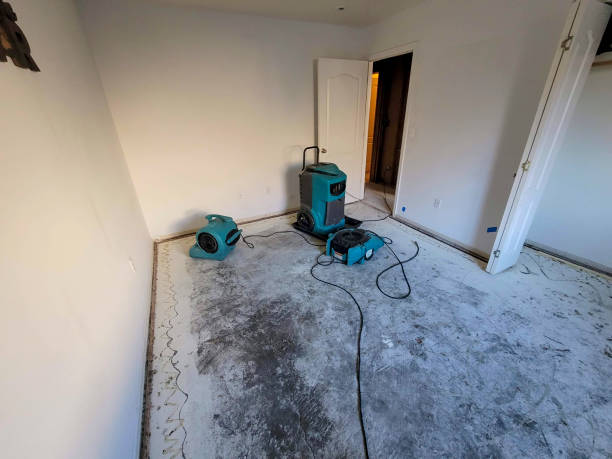 Best Water damage restoration near me  in Altamont, IL