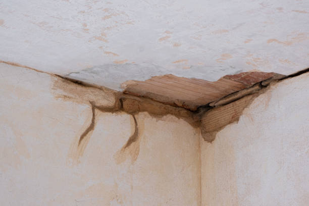 Best Residential water damage restoration  in Altamont, IL