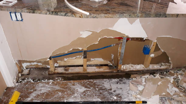 Best Water damage restoration near me  in Altamont, IL
