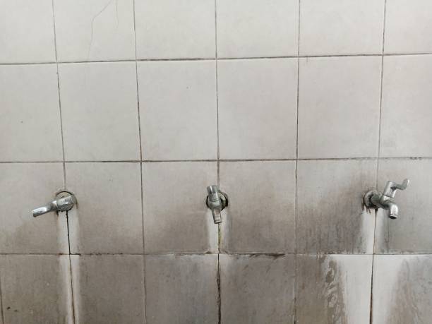 Best Water damage contractors near me  in Altamont, IL