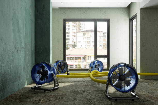 Water damage restoration insurance claims in Altamont, IL